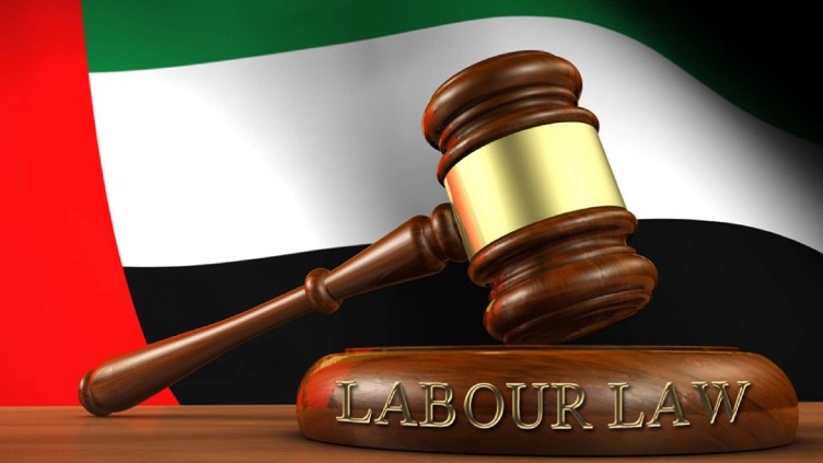 in-3-weeks-govt-of-uae-recorded-352-violations-at-labor-accommodations-66d96e54663f41725525588.jpg