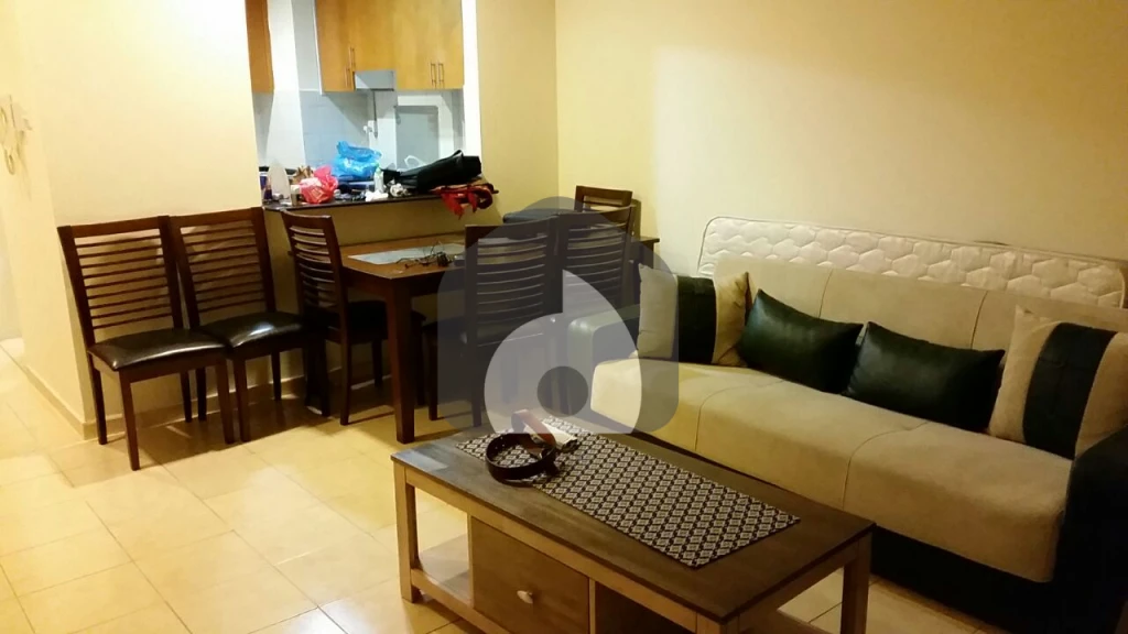 1 BHK Apartment for Sale in , Dubai