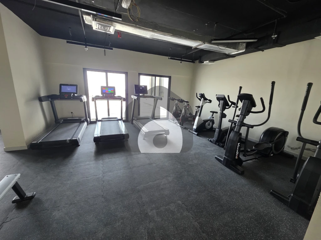 1 BHK Apartment for Rent in , Dubai Jabel Ali — photo 8