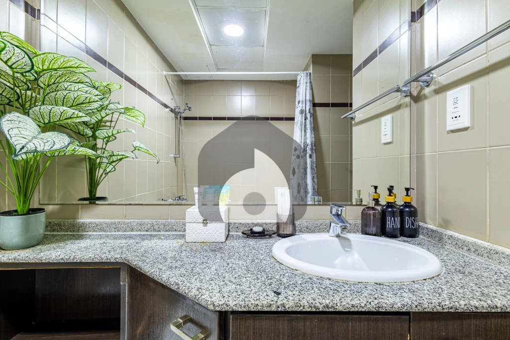 Studio Apartment for Rent in , Dubai — photo 5