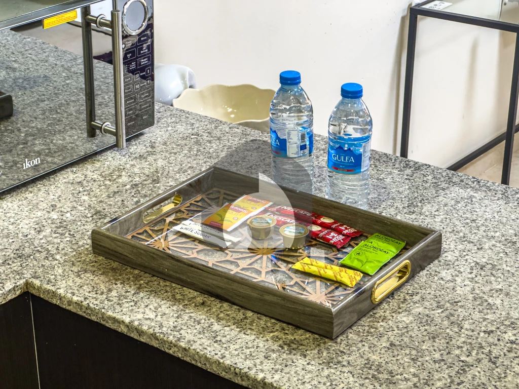 Studio Apartment for Rent in , Dubai — photo 7
